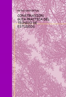 CONSTRUCCION : GUIA PRACTICA DEL TECNICO DE ESTUDIOS