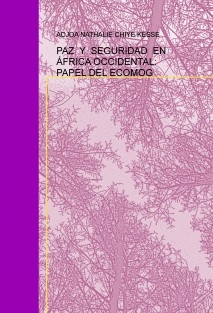 PAZ Y SEGURIDAD EN ÁFRICA OCCIDENTAL: PAPEL DEL ECOMOG