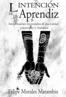 LA INTENCIÓN DE UN APRENDIZ, Interpretaciones inconscientes de una realidad psicomágica y chamánica