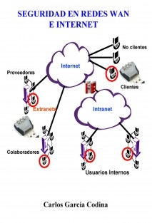 SEGURIDAD EN REDES WAN E INTERNET