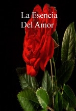 La Esencia Del Amor