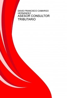 ASESOR CONSULTOR TRIBUTARIO