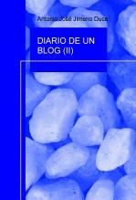 DIARIO DE UN BLOG (II)