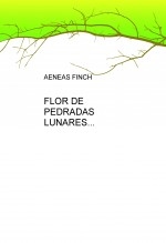 FLOR DE PEDRADAS LUNARES