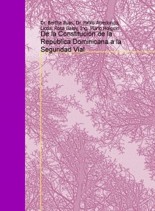 De la Constitucion de la Republica Dominicana a la Seguridad Vial