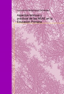 Aspectos teóricos y prácticos de las NEAE en la Educación Primaria