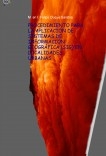 PROCEDIMIENTO PARA LA APLICACIÓN DE SISTEMAS DE INFORMACIÓN GEOGRÁFICA (SIG) EN LOCALIDADES URBANAS
