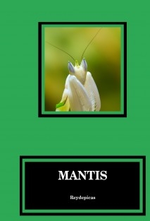 Mantis