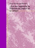 ¿Qué son realmente los Sistemas de Gestión de la Calidad