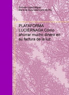 PLATAFORMA LUCIÉRNAGA Cómo los particulares y PYMES pueden ahorrar mucho dinero en su factura de la luz.