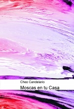 Moscas en tu Casa