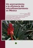 Un acercamiento a la eficiencia del microfinanciamiento en México