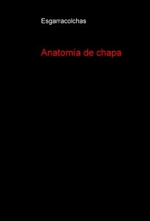 Anatomía de chapa