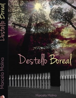 Destello Boreal