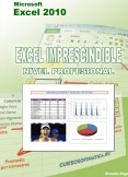 Excel 2010 Imprescindible: Nivel profesional