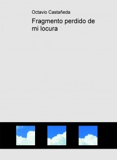 Fragmento perdido de mi locura