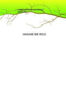 HAGASE BIE RICO