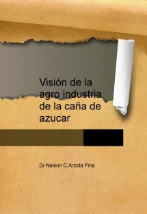 Visión de la agro industria de la caña de azucar