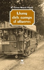 Lluny dels camps d'oliveres