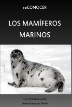 reCONOCER LOS MAMIFEROS MARINOS