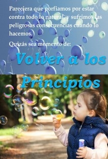 VOLVER A LOS PRINCIPIOS