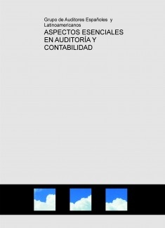 ASPECTOS ESENCIALES EN AUDITORÍA Y CONTABILIDAD