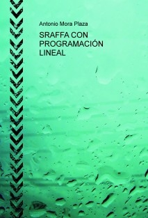 SRAFFA CON PROGRAMACIÓN LINEAL