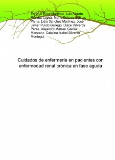 Cuidados de enfermería en pacientes con enfermedad renal crónica en fase aguda