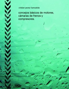 concejos básicos de motores, cámaras de frenos y compresores.