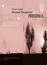 Miradas Peregrinas