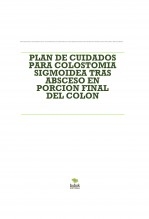 PLAN DE CUIDADOS PARA COLOSTOMIA SIGMOIDEA TRAS ABSCESO EN PORCION FINAL DEL COLON