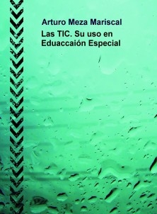 Las TIC. Su uso en la Educación Especial