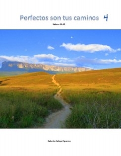 PERFECTOS SON TUS CAMINOS 4