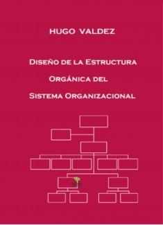 Diseño de la estructura orgánica del sistema organizacional