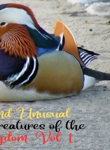 Surprising and unusual rarities and creatures of the Animal Kingdom. Vol. 1