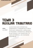 Tema 3: La provincia como entidad local. Organización y competencias. El Pleno Provincial: composición y atribuciones. El Presidente: competencias, delegación de las mismas, y sus resoluciones. La Junta de Gobierno y las Comisiones Informativas