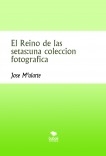 El Reino de las setas:una coleccion fotografica