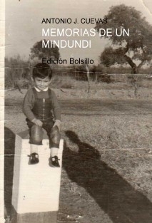 MEMORIAS DE UN MINDUNDI