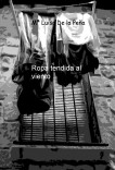 Ropa tendida al viento